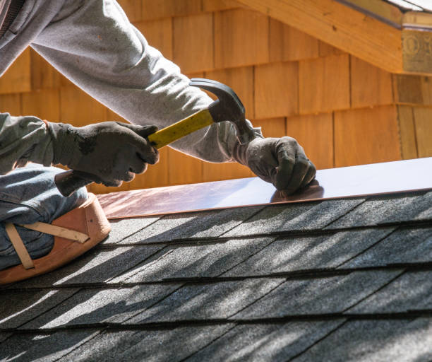 Best Roof Gutter Cleaning  in Libertyvle, IL